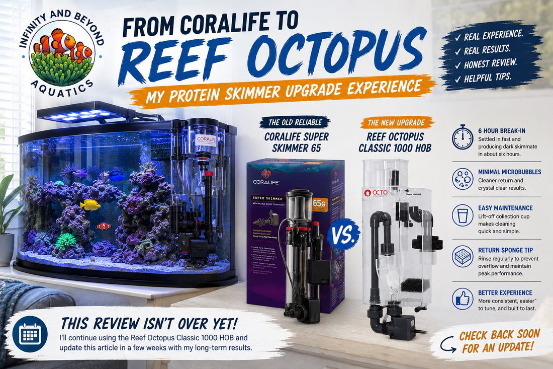 A side-by-side comparison of the Coralife Super Skimmer 65 and Reef Octopus Classic 1000 HOB alongside a 54-gallon reef aquarium, highlighting a real-world protein skimmer upgrade experience.