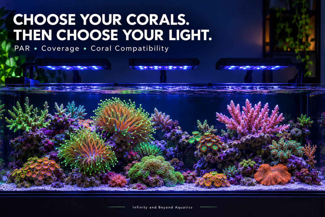 Colorful mixed reef aquarium under evenly spaced LED lights: Choose your corals, then choose your light.