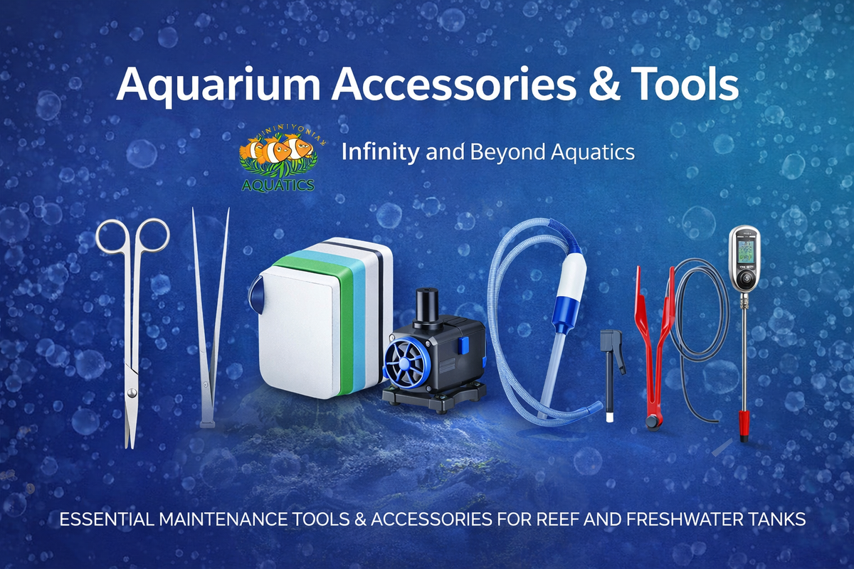 Aquarium Accessories & Tools