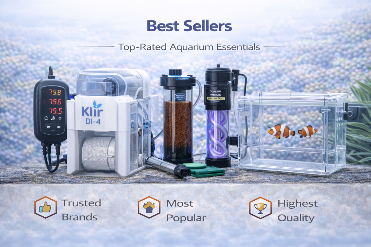 Best Sellers