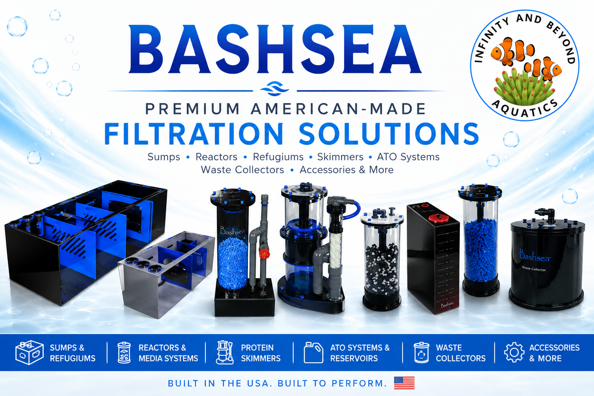 Bashsea