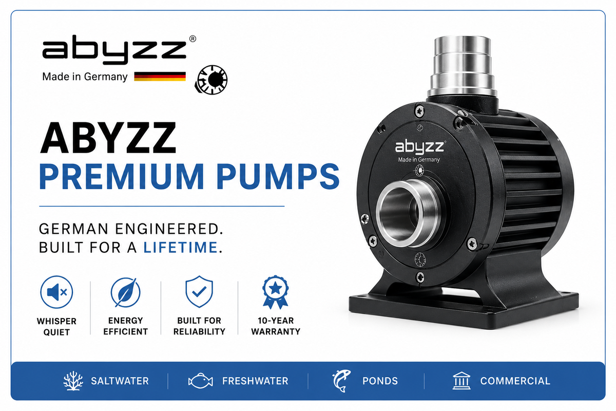 Abyzz Premium Pumps