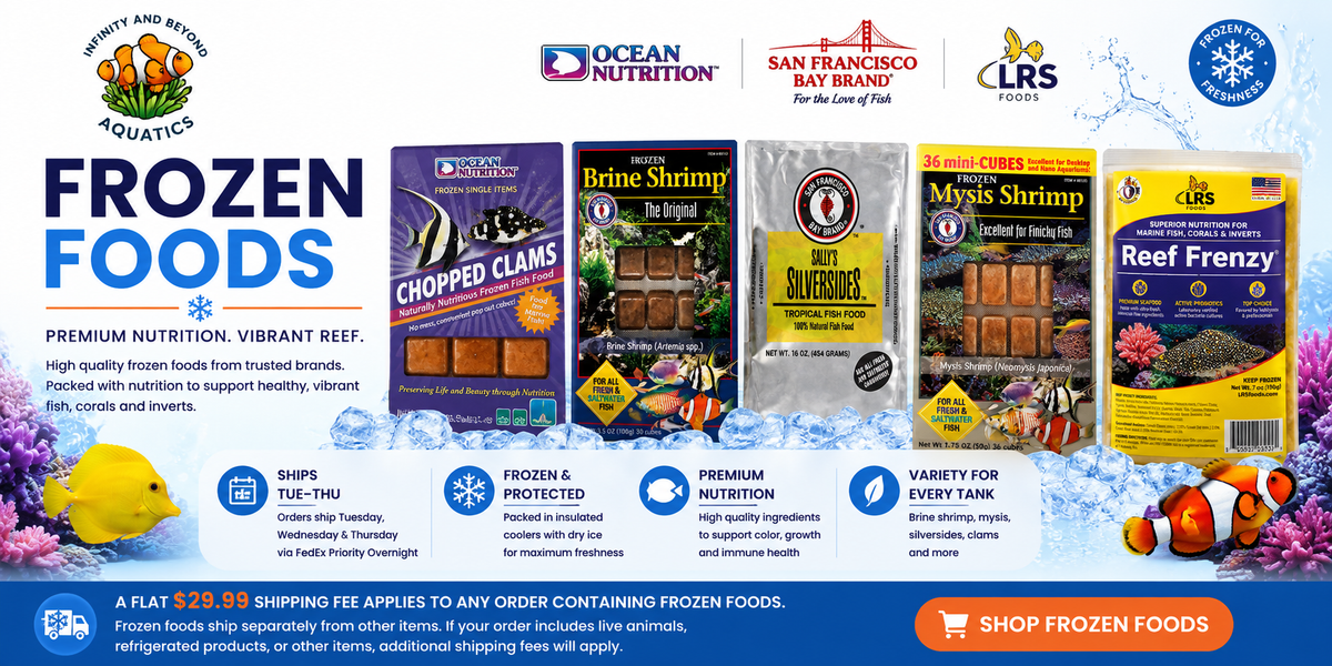 Frozen Fish Food