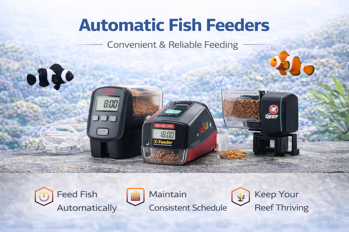 Automatic Fish Feeders – Smart Aquarium Feeding Systems