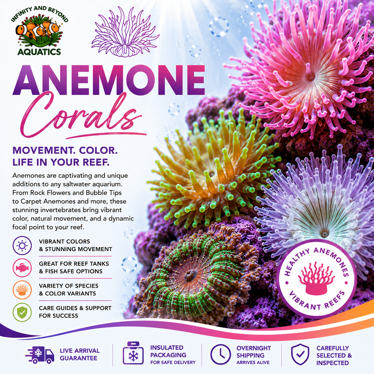 Anemones