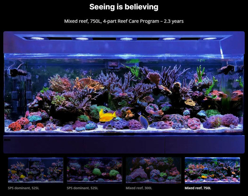 Red Sea Complete Reef Care 4-Part Dosing System – Large – Up to 160 Gallons