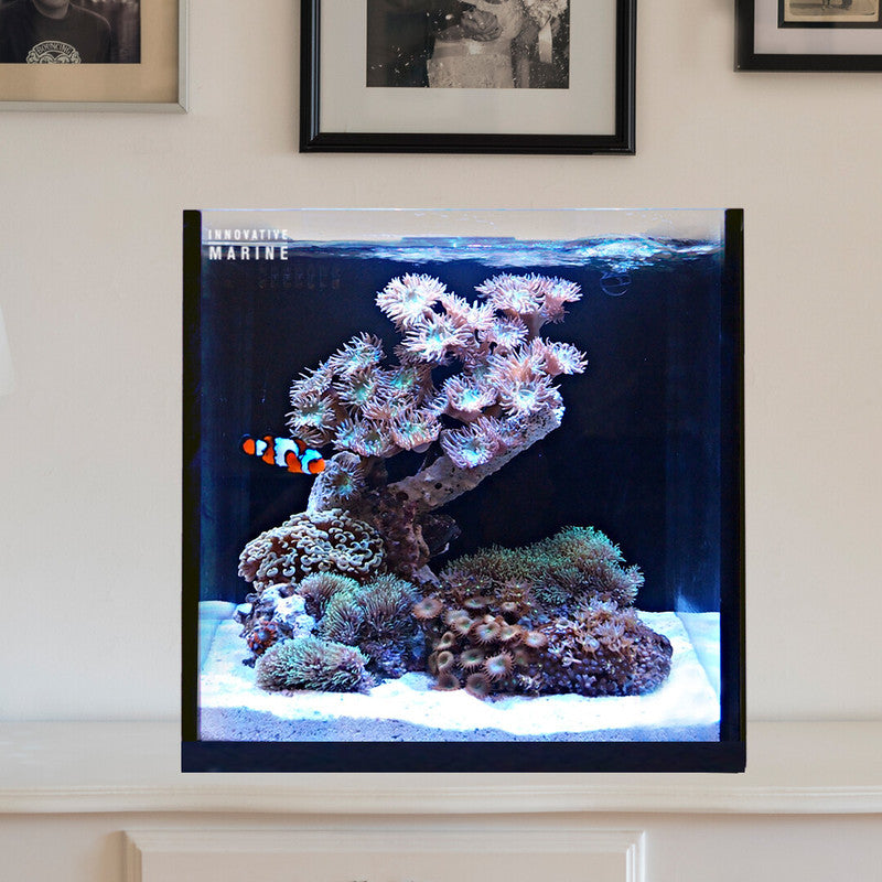 Innovative Marine 15 Gallon Fusion AIO Cube Aquarium | 0215-P