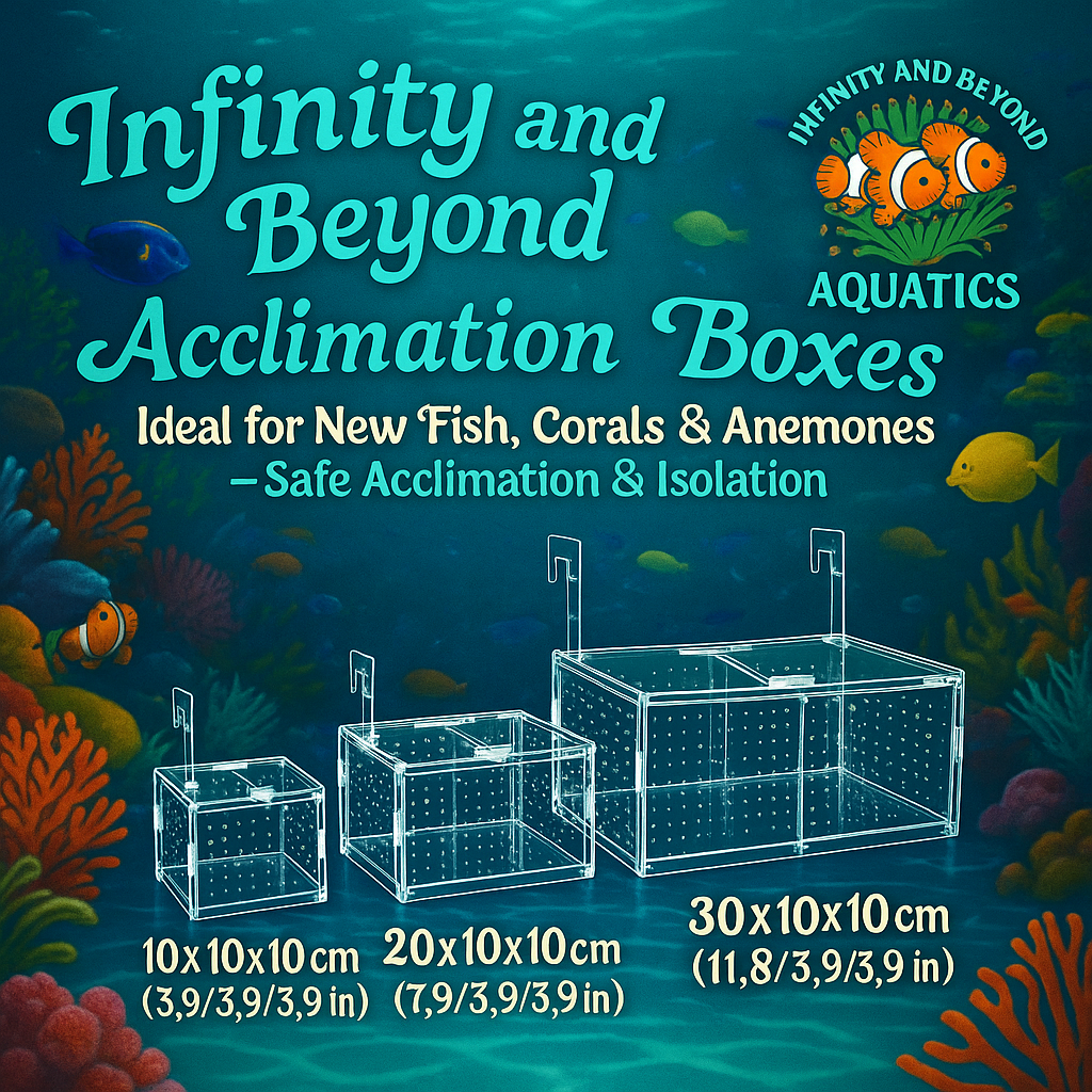 Infinity and Beyond Aquatics Acclimation & Isolation Boxes