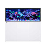 Red Sea REEFER MAX 525 G3 142 Gallon Complete Smart Reef Aquarium – Black