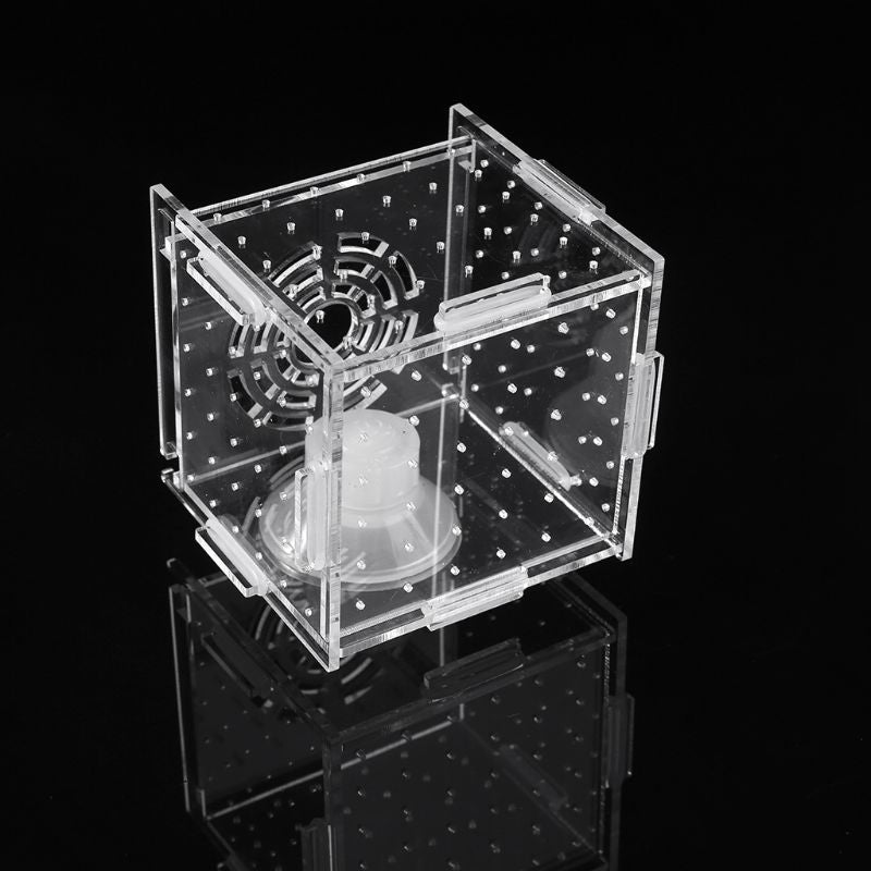 Aquarium Fish Breeding Isolation Box – Fry Hatchery, Baby Fish Incubator & Tank Divider for Guppies, Betta, Shrimp & Reef Fish