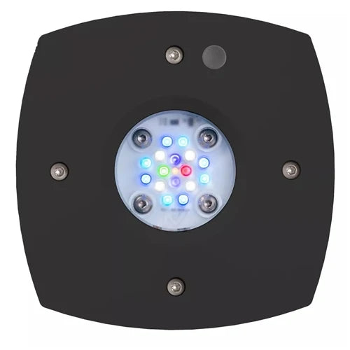 AquaIllumination AI Prime 16HD Reef LED Light – Black