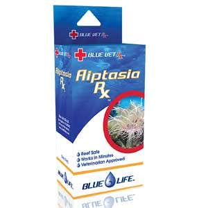 Blue Life Aiptasia Rx – Aiptasia & Majano Anemone Treatment Standard