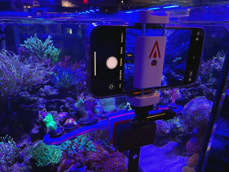 AvidAqua AvidCam Magnetic Camera &amp; Mobile Phone Mount Kit