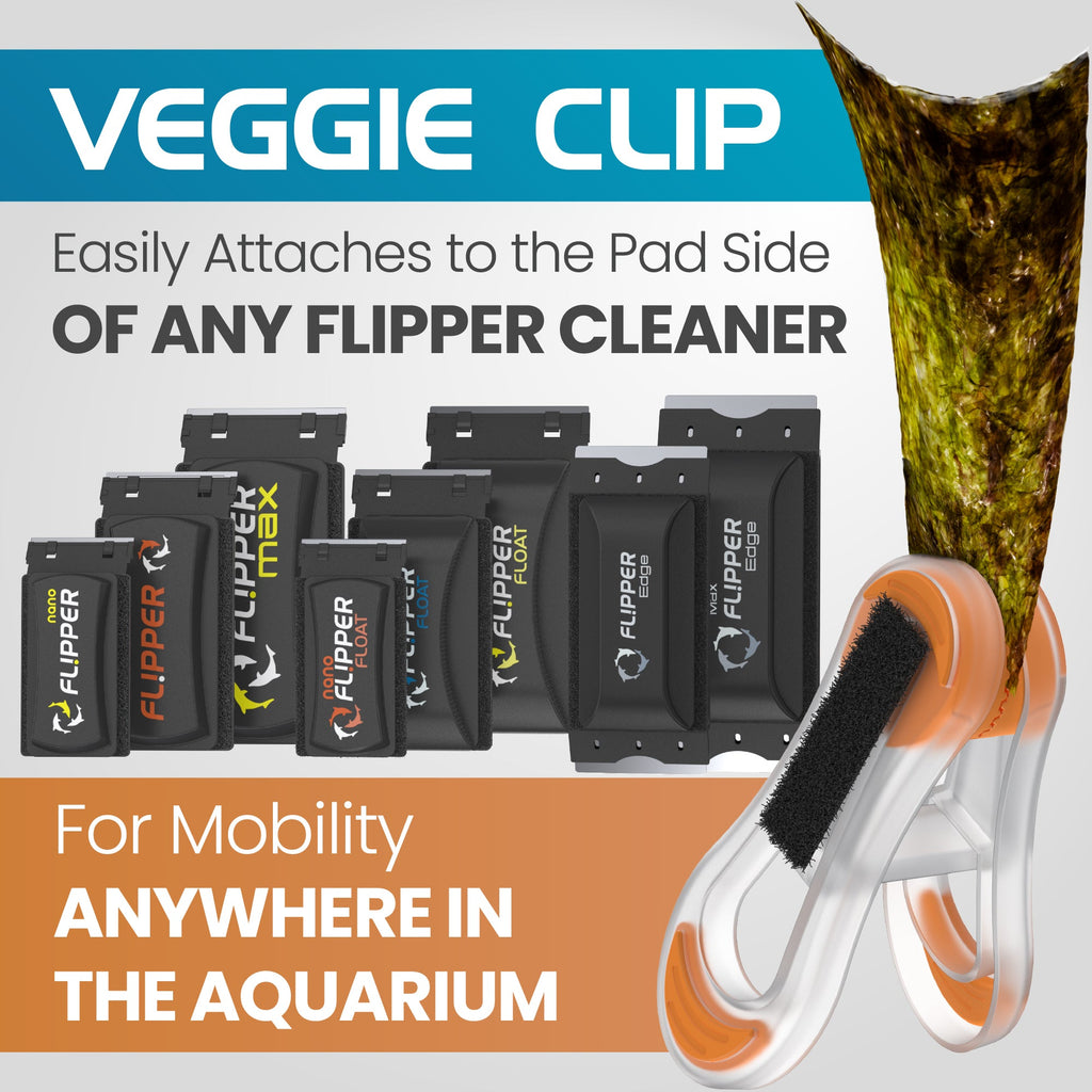 Flipper Feed Aquarium Feeding Kit for Flipper Cleaners