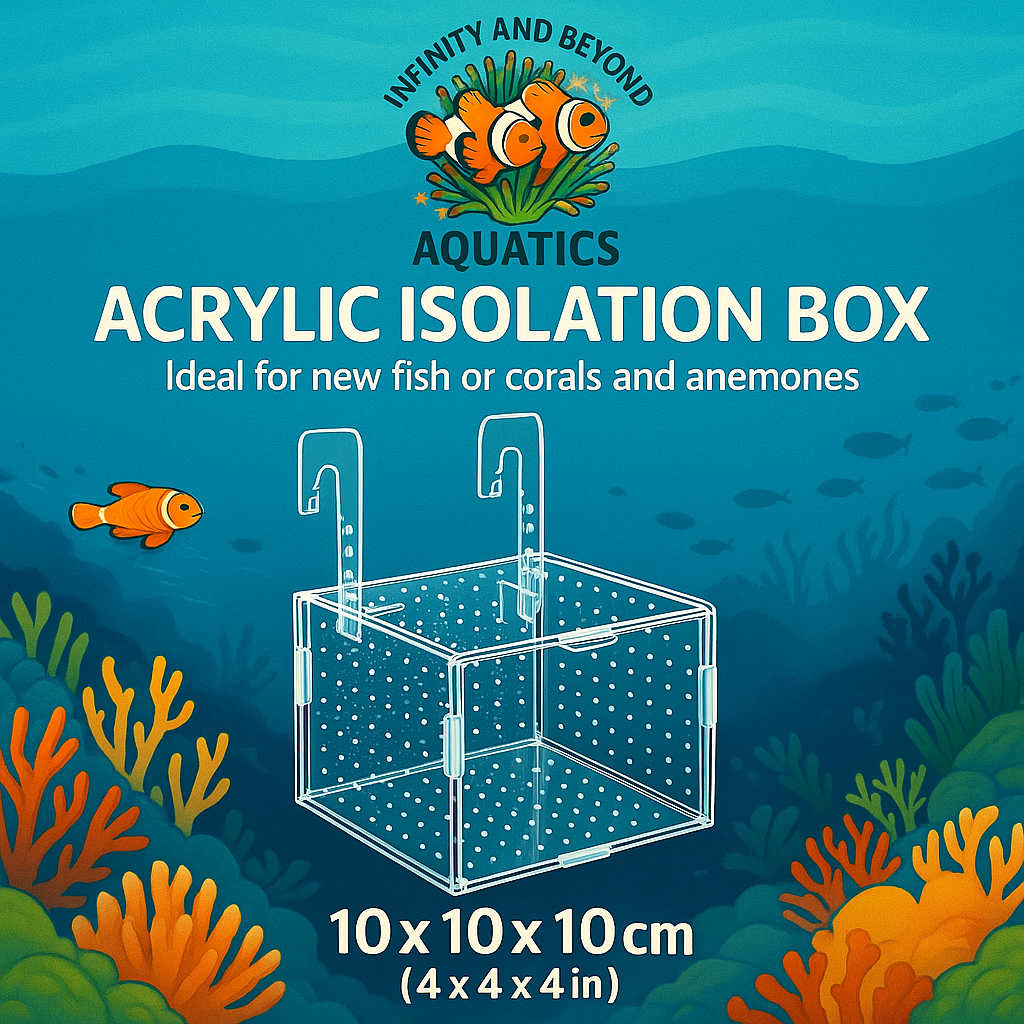 Infinity and Beyond Aquatics Acclimation & Isolation Boxes