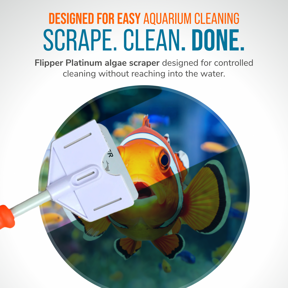 Flipper Platinum Aquarium Algae Scraper - 10"