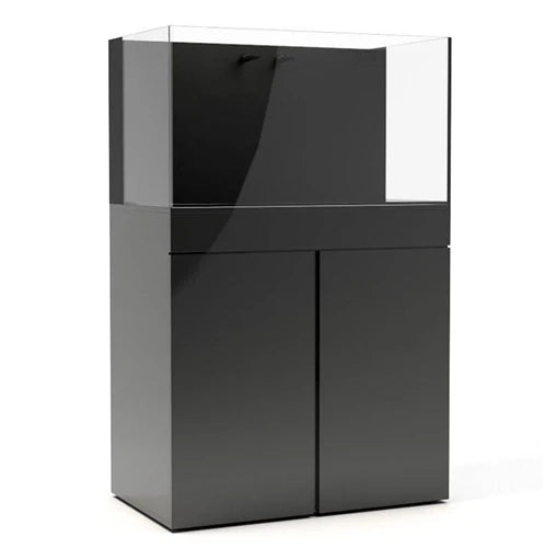 JBJ Rimless Flat Panel 65 Gallon All-in-One Aquarium with Black Stand
