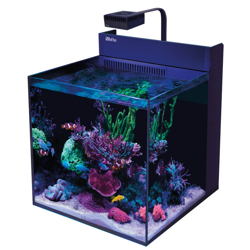 Red Sea MAX NANO G2 XL 33 Gallon Complete Reef Aquarium with Black Cabinet