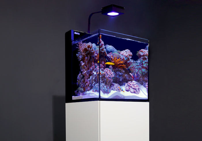 Red Sea MAX NANO G2 XL 33 Gallon Complete Reef Aquarium with Black Cabinet