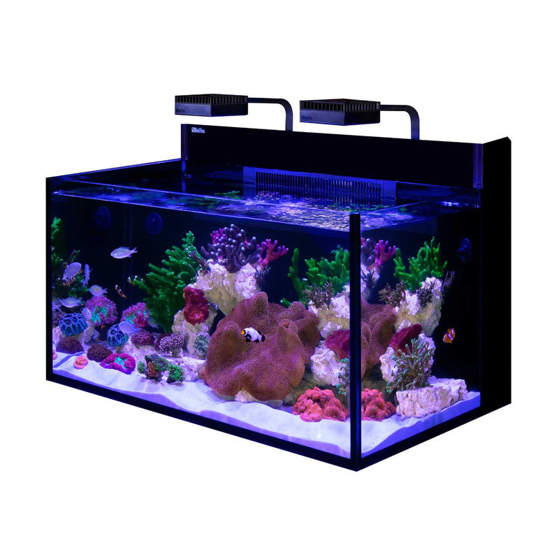 Red Sea MAX NANO G2 XXL 53 Gallon Complete Reef Aquarium with White Cabinet