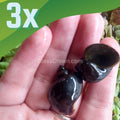 Onyx Mystery Snail