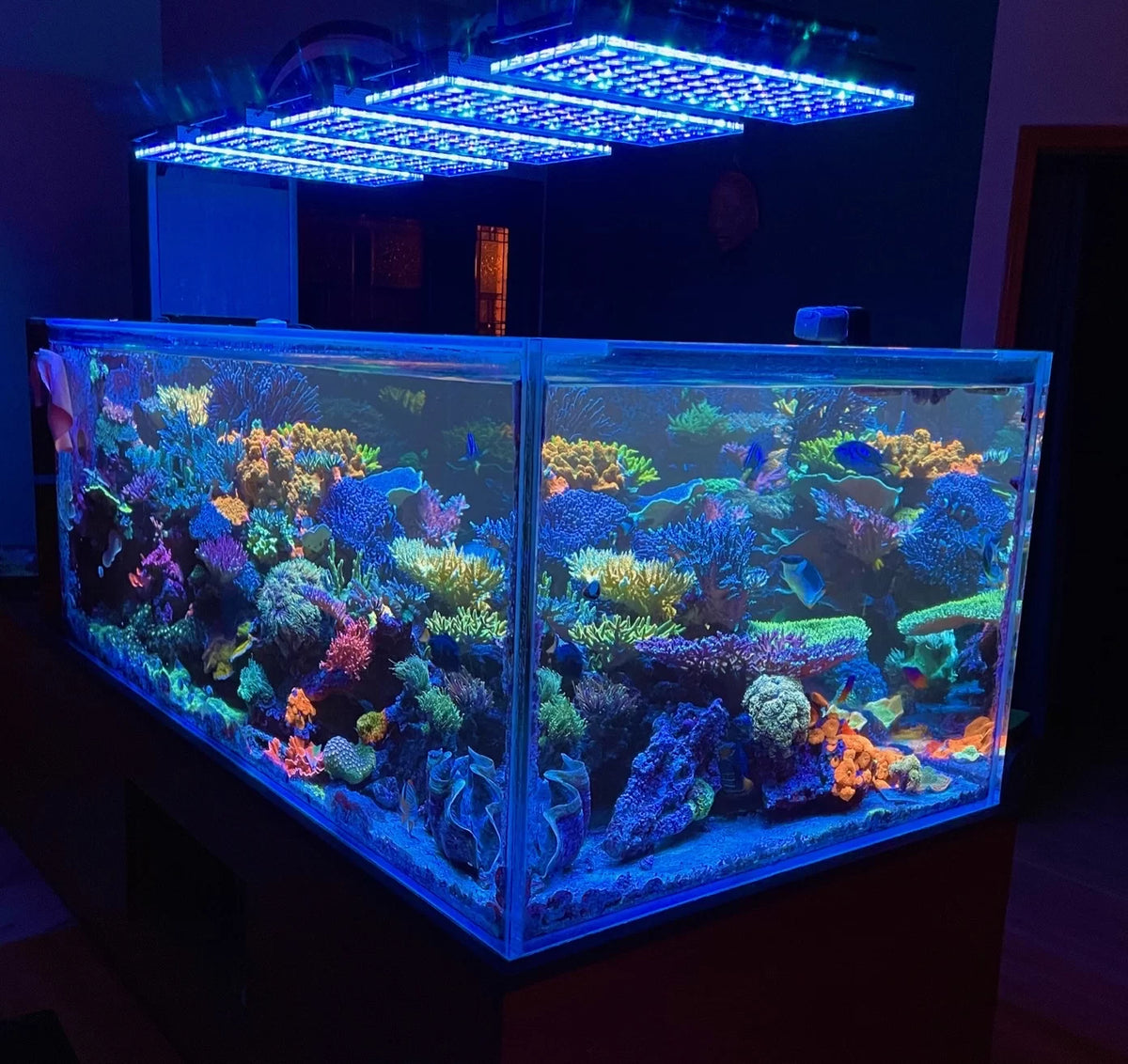 Orphek Atlantik iCon Reef Aquarium LED Light
