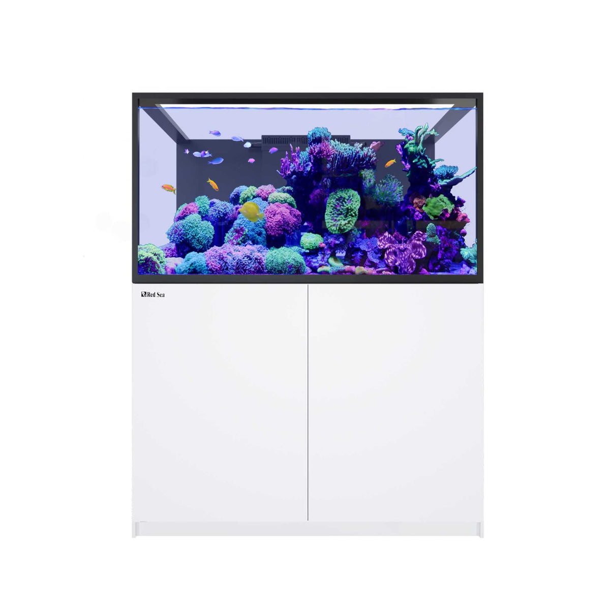 Red Sea REEFER S-550 G3+ Reef Aquarium System – White