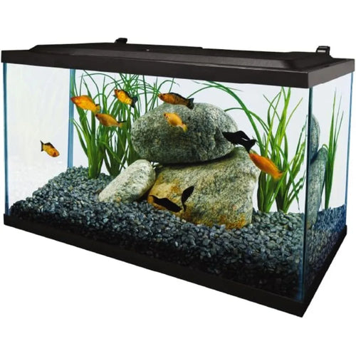 10 Gallon Tetra Tropical Fish Tank Kit with LED Light for Freshwater Aquarium