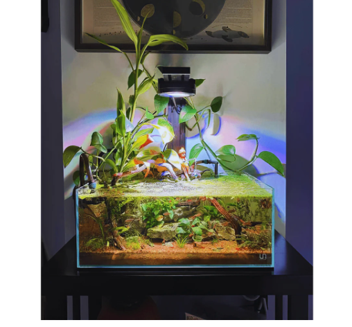 Dalua Pixel Nano LED Aquarium Lighting System – Complete Reef & Freshwater Light (20 Gallon Coverage)