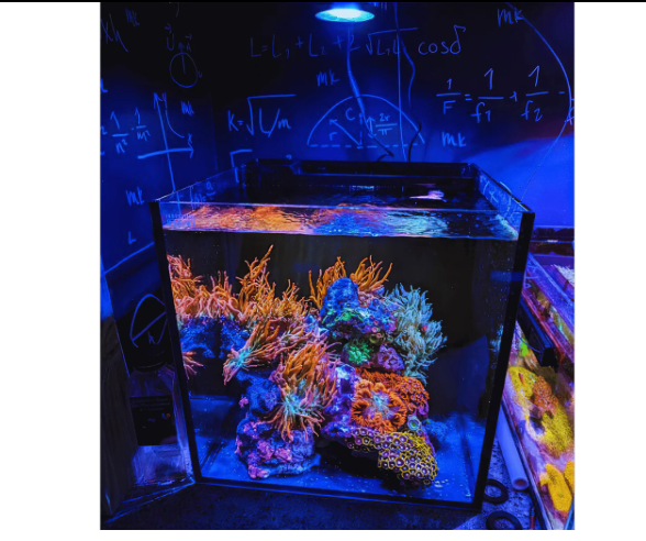 Dalua Pixel Nano LED Aquarium Lighting System – Complete Reef & Freshwater Light (20 Gallon Coverage)