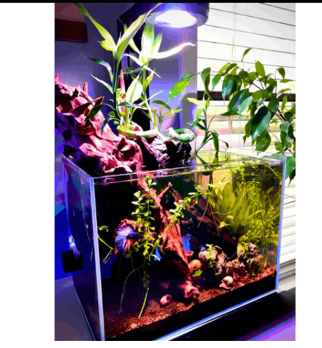 Dalua Pixel Nano LED Aquarium Lighting System – Complete Reef & Freshwater Light (20 Gallon Coverage)