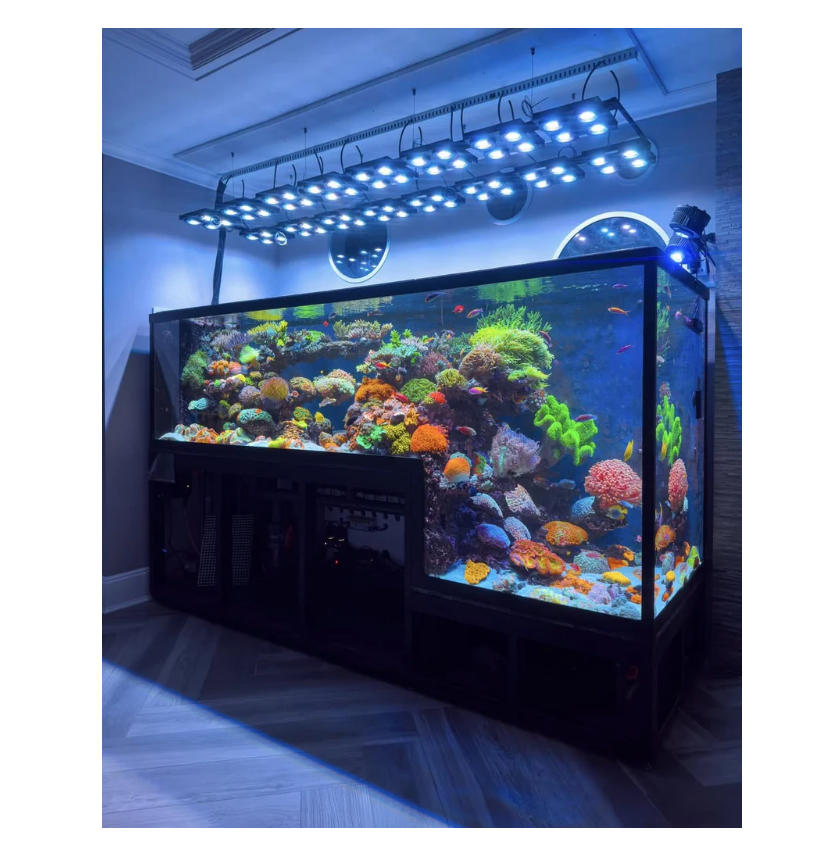 Dalua X4 Reef Lighting System – Illumagic X4 Reefer Pro LED