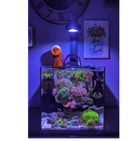 Dalua Pixel LED Complete Aquarium Lighting System – Modular Reef & Freshwater Lighting (1–6 Pixel Systems)