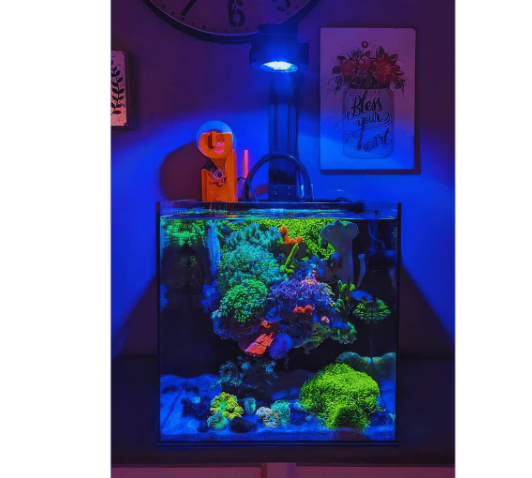Dalua Pixel LED Complete Aquarium Lighting System – Modular Reef & Freshwater Lighting (1–6 Pixel Systems)