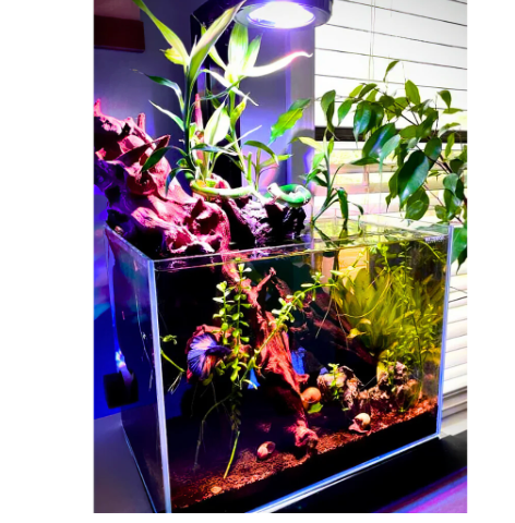 Dalua Pixel LED Complete Aquarium Lighting System – Modular Reef & Freshwater Lighting (1–6 Pixel Systems)