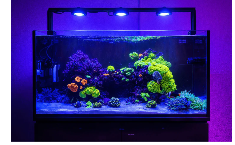 Dalua Pixel LED Complete Aquarium Lighting System – Modular Reef & Freshwater Lighting (1–6 Pixel Systems)