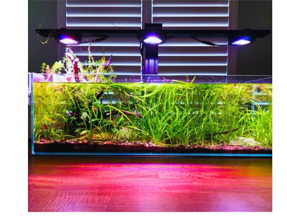 Dalua Pixel LED Complete Aquarium Lighting System – Modular Reef & Freshwater Lighting (1–6 Pixel Systems)