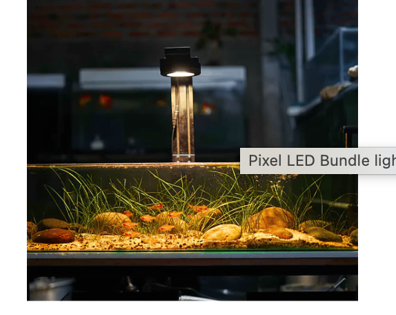 Dalua Pixel LED Complete Aquarium Lighting System – Modular Reef & Freshwater Lighting (1–6 Pixel Systems)