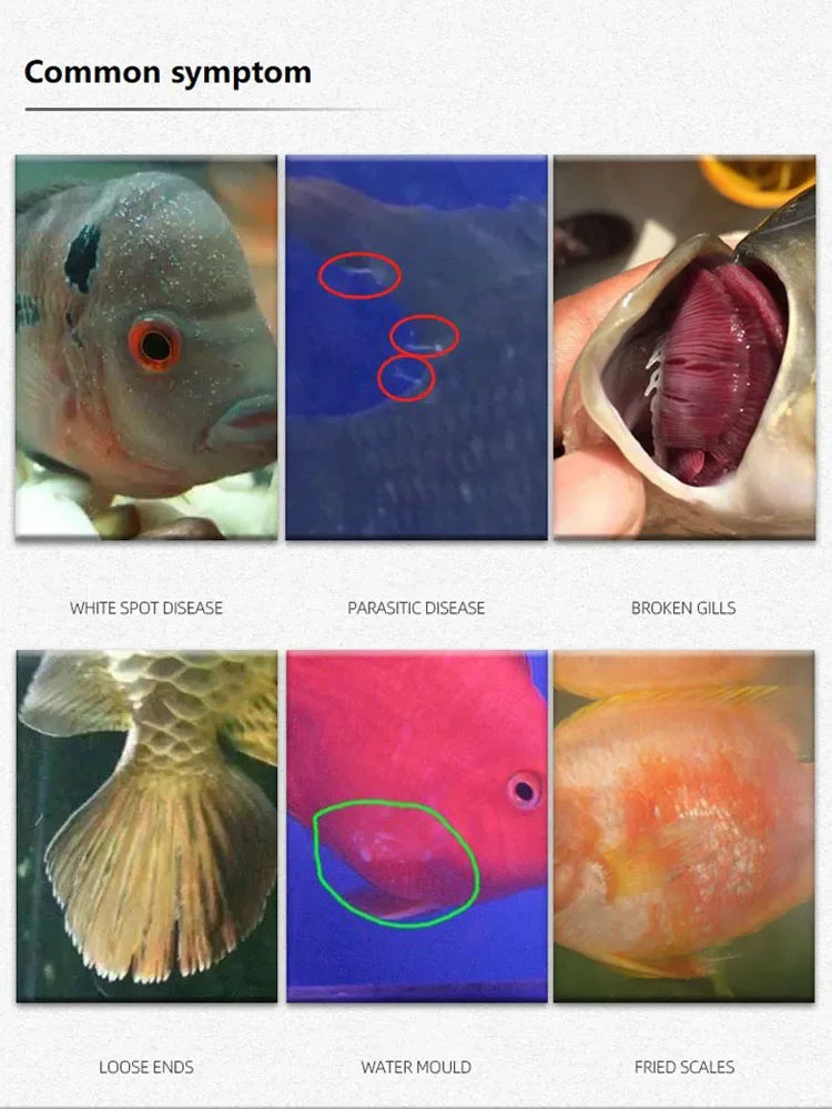 Methylene Blue Aquarium Treatment 310mL All Purpose Antibacterial & Antifungal Solution for Ornamental Fish