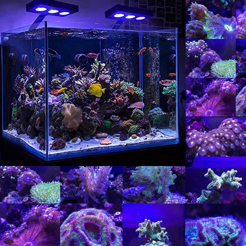 Water Knight M5 Full-Spectrum Reef LED – Smart Coral Lighting (30W / 40W / WiFi Editions)