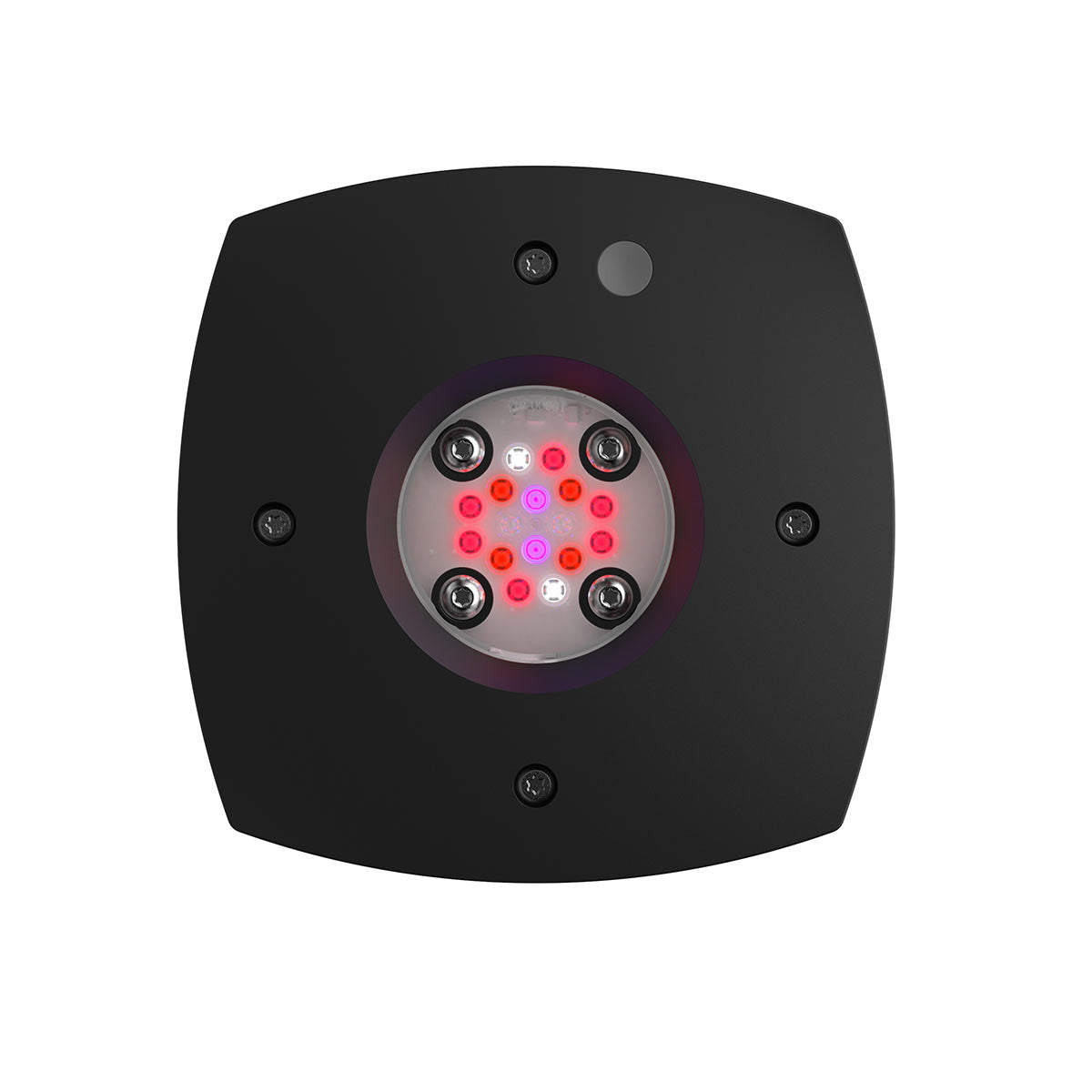 AquaIllumination AI Prime 16HD Fuge refugium LED light in black