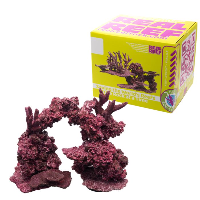 Real Reef Arches Rock Natural Aquascaping Arch Structures for Reef Aquariums (Multiple Sizes Available)