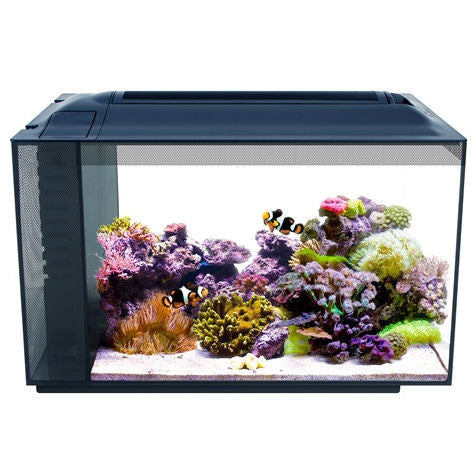 Fluval EVO 13.5 Gallon Saltwater Aquarium Kit – Rimless All-in-One Nano Reef Aquarium