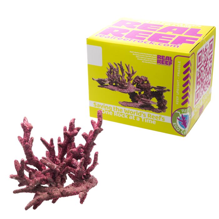 Real Reef Fancy Branch Rock Natural Vertical Aquascaping Rock for Reef Aquariums (Multiple Sizes Available)