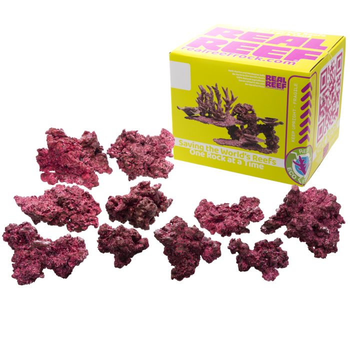 Real Reef Original Rock Natural Base & Foundation Rock for Reef Aquariums (Multiple Sizes Available)