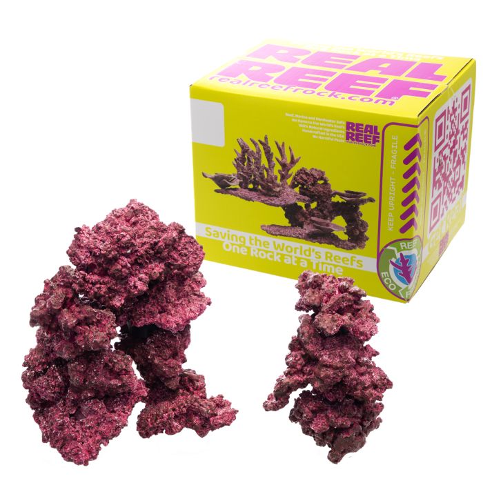 Real Reef Original Rock Natural Base & Foundation Rock for Reef Aquariums (Multiple Sizes Available)