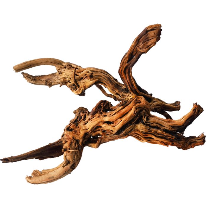 IceCap Premium Dragon Root Wood for Freshwater Aquariums & Terrariums (23"-60")