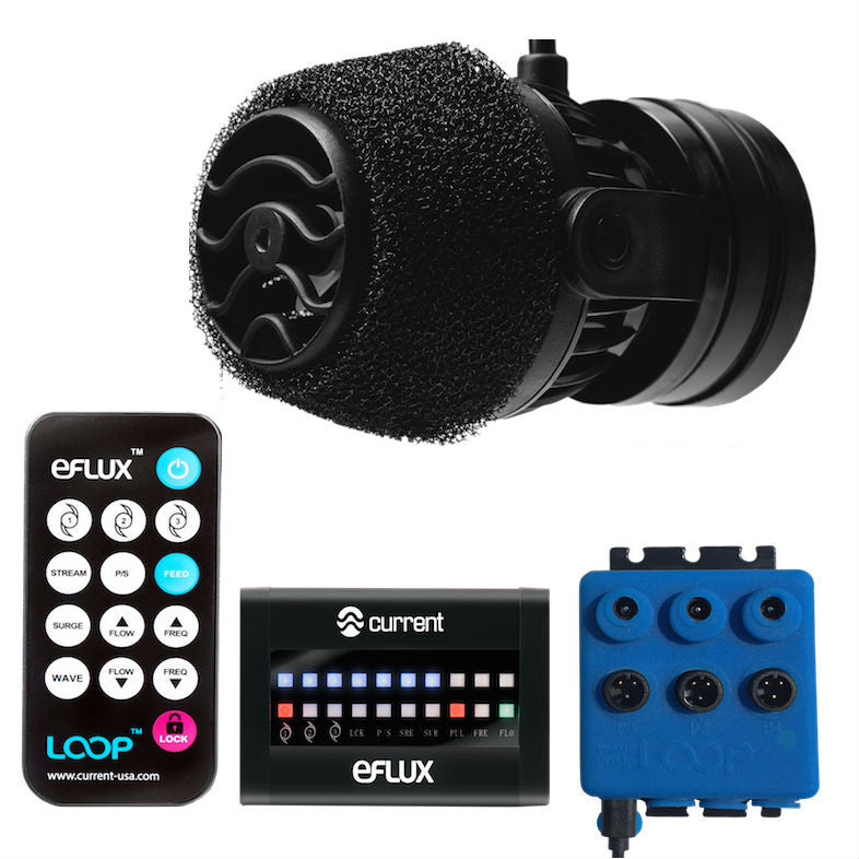 eFlux LOOP Wave Pump 660 GPH (Complete Kit) - Current USA