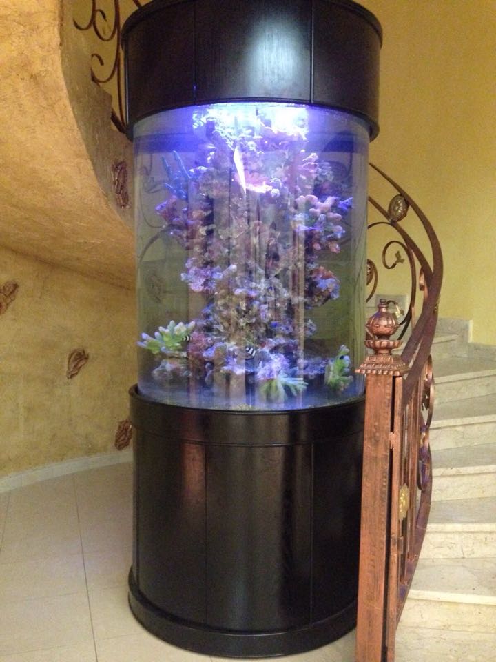 Glass Full Cylinder