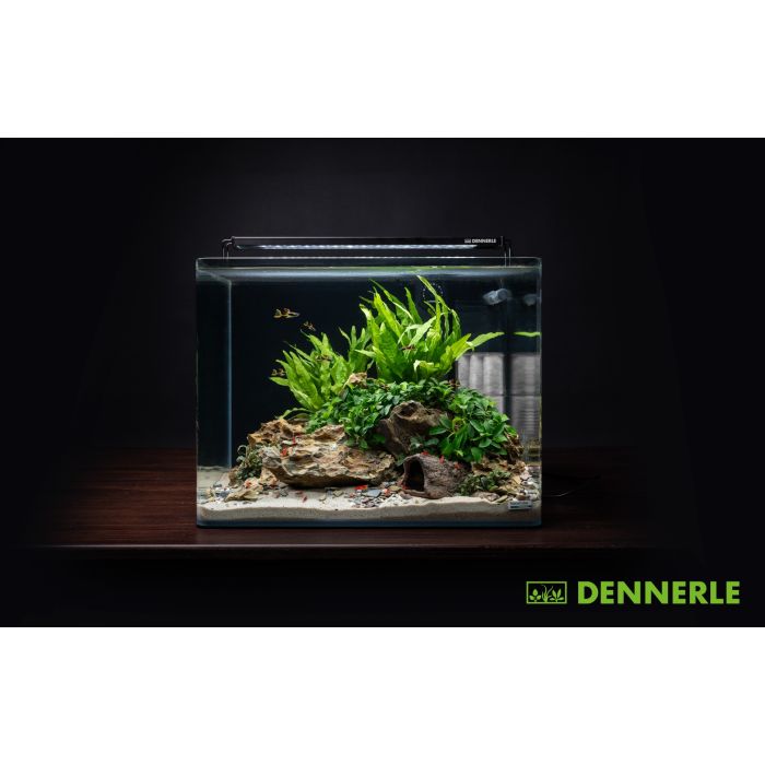 Dennerle Basic Nano Tank, 55 L / 14.5 US Gal